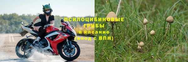 синтетический гашиш Гусь-Хрустальный